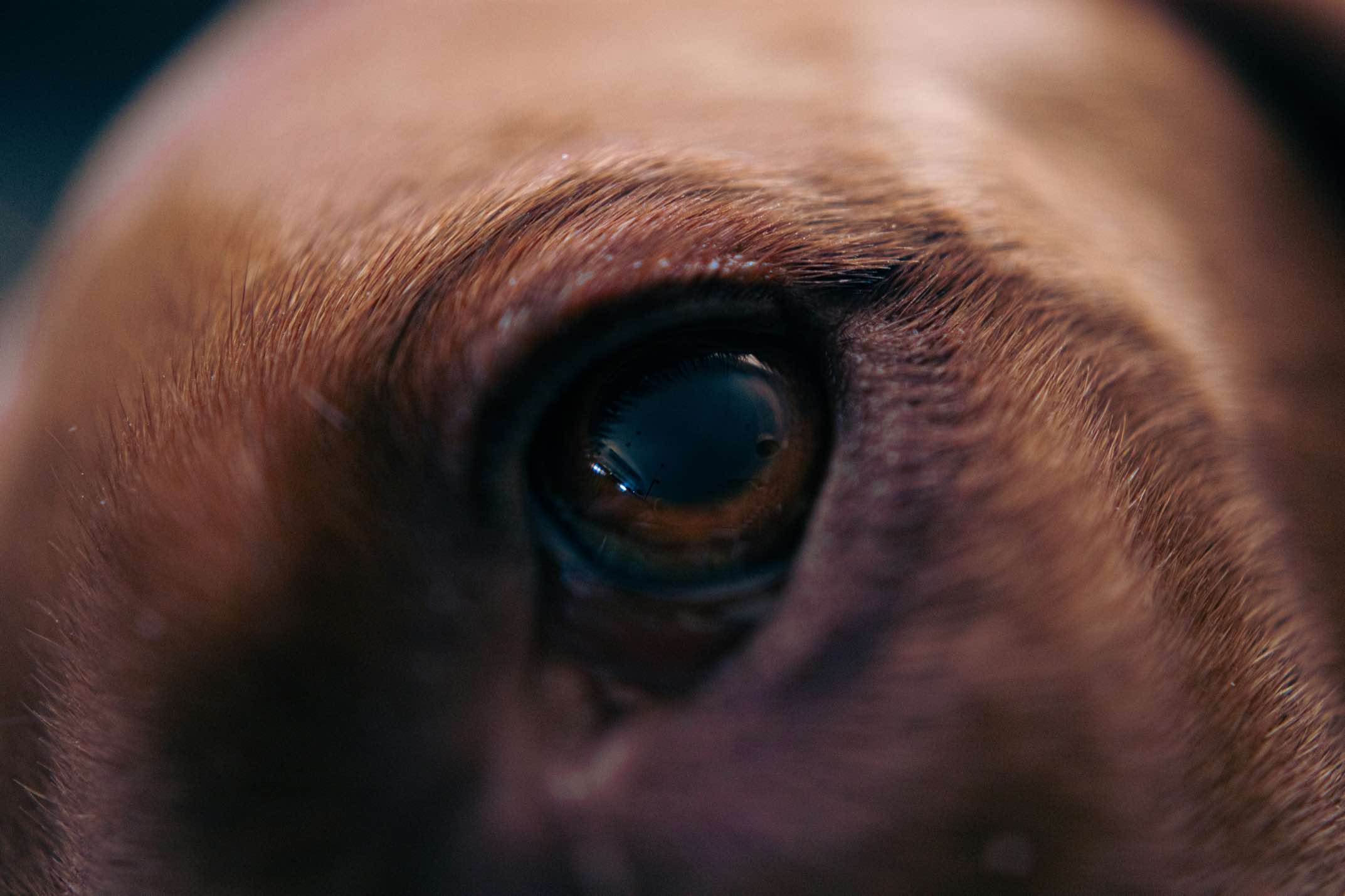 How to Improve Image Quality with ImageToolsPro: A Complete Guide